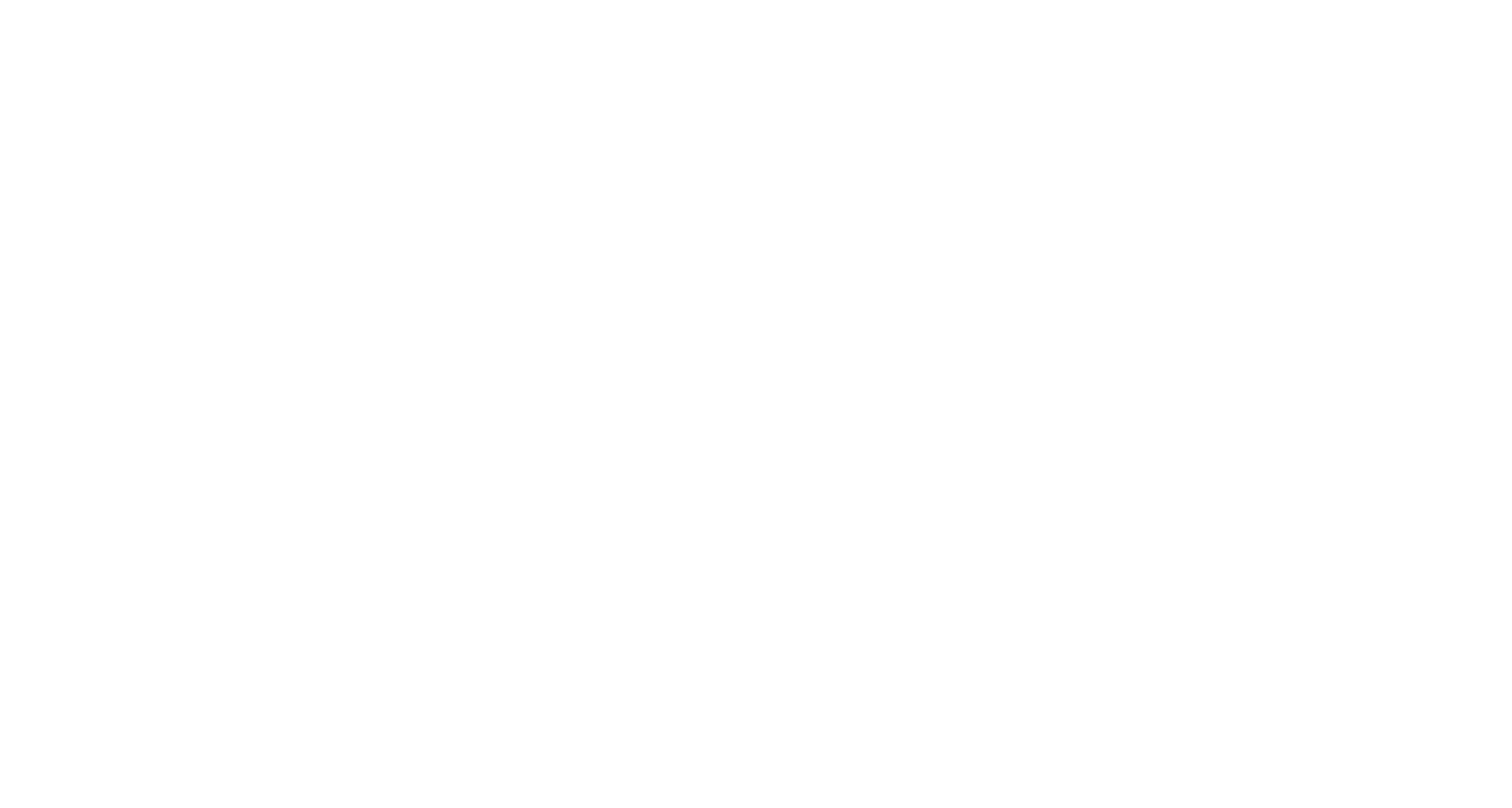 logo-big-white